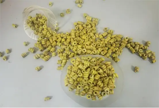 不止滋阴养肺,分享正确吃法以及禁忌 :铁皮石斛的功效与作用!