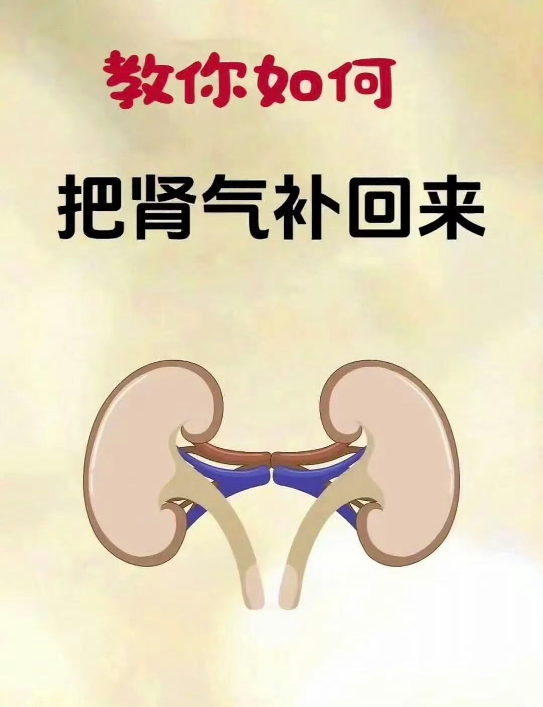 建议常吃这10种食物，补肾益肾！