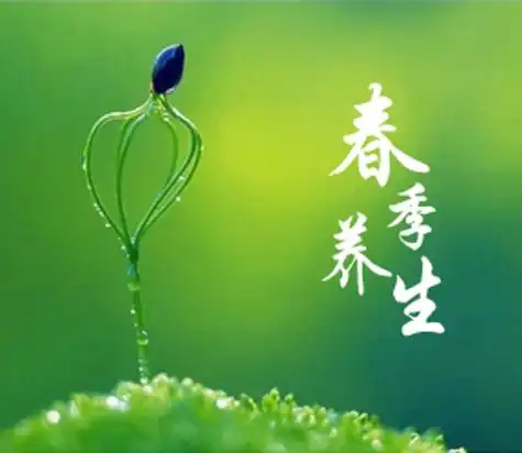 顺应天时，调养肝脾，焕发生机，春季养生指南！